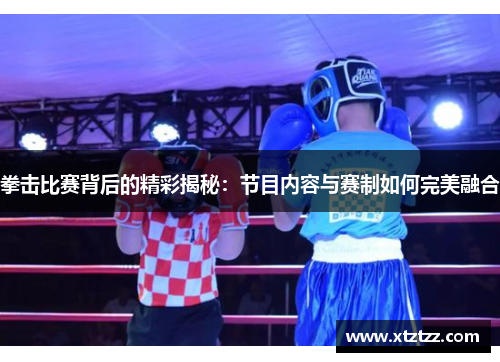 拳击比赛背后的精彩揭秘：节目内容与赛制如何完美融合